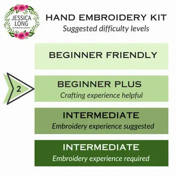 Chameleon Embroidery Kit