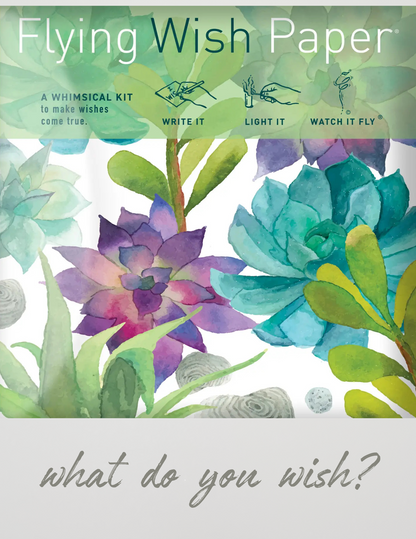 Flying Wish Paper® Cactus Garden Mini Kit