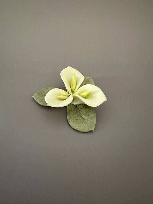 Capodimonte Porcelain Calla Palustris Flower